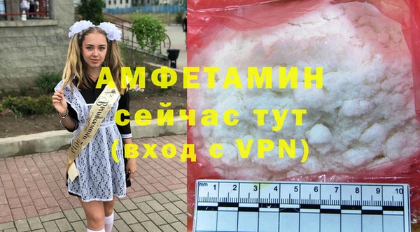 гидра Мегион