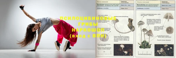 мяу мяу кристалл Алексин