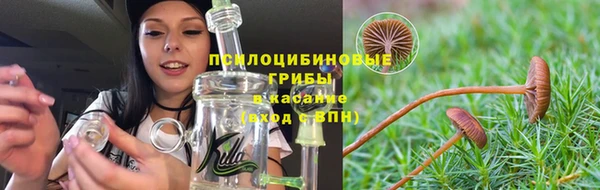 mdpv Алзамай