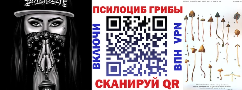 Галлюциногенные грибы GOLDEN TEACHER  KRAKEN зеркало  Керчь 
